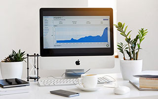 纪元117：罗马和平指南——人口管理与文化抉择